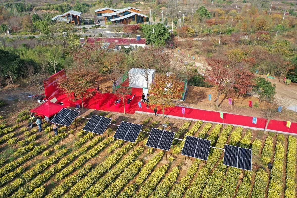 广东建工：澜沧县芒弄村60MW茶光互补光伏发电项目并网发电