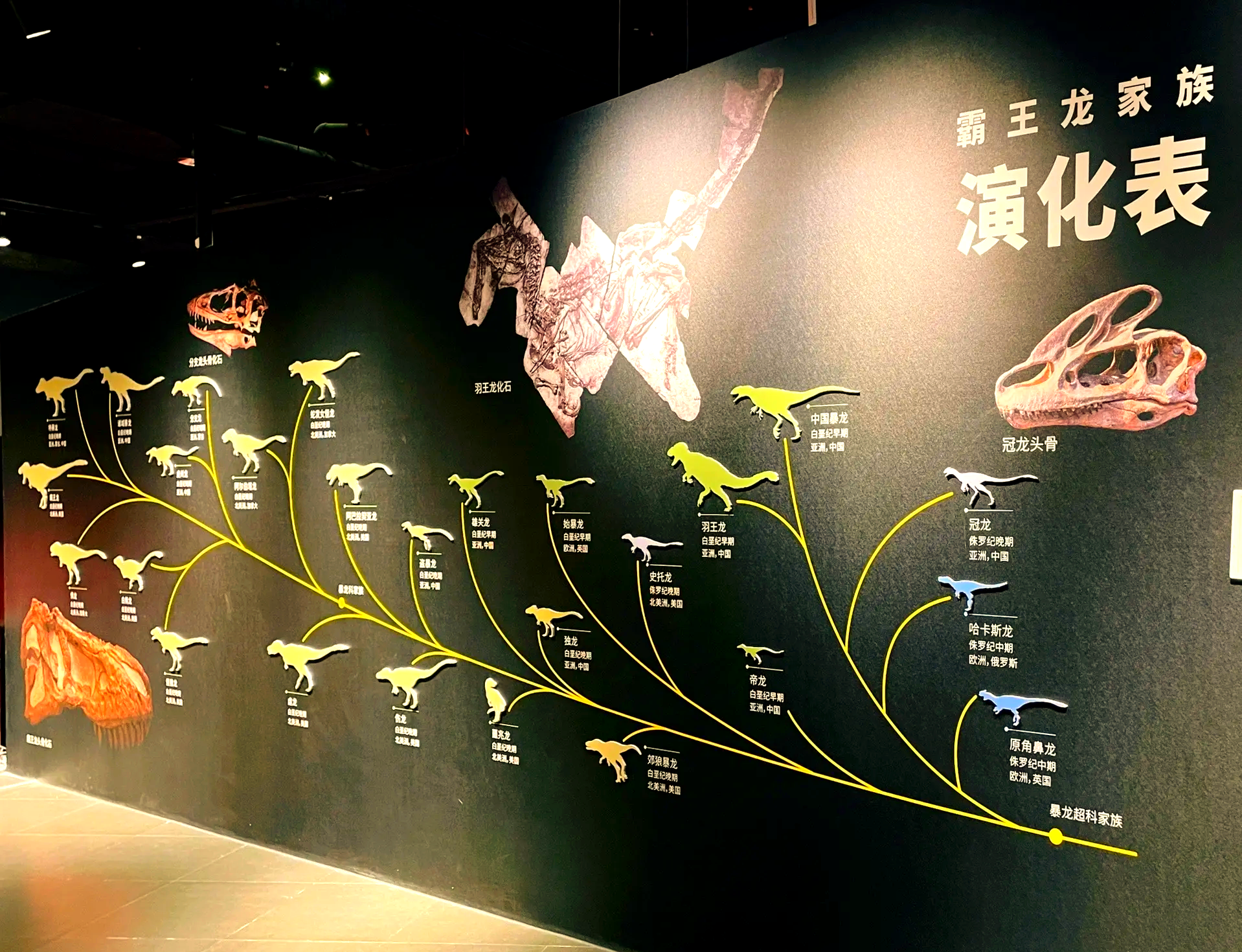 “中国恐龙大展”揭秘中国恐龙生存演化故事