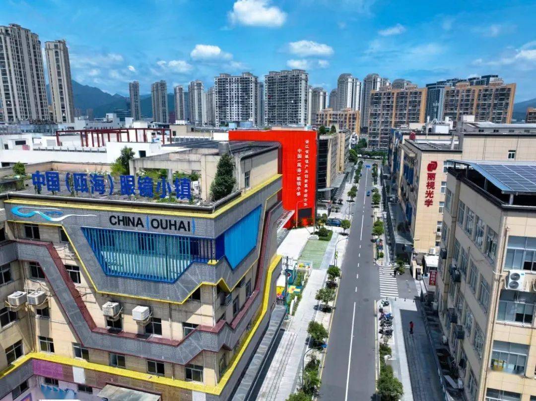 温州市大罗山基金村开园运营二周年