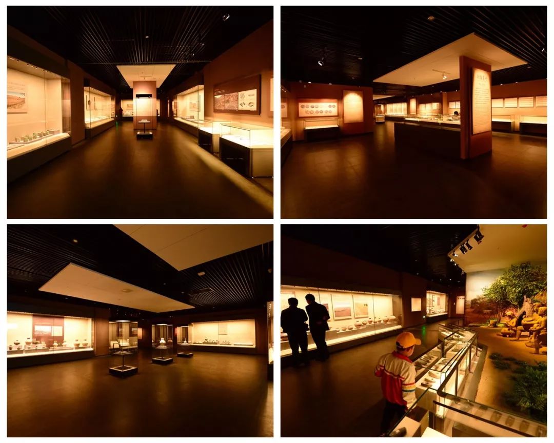 宏济堂制药建成行业首个丸剂数智工厂 古丸博物馆揭牌