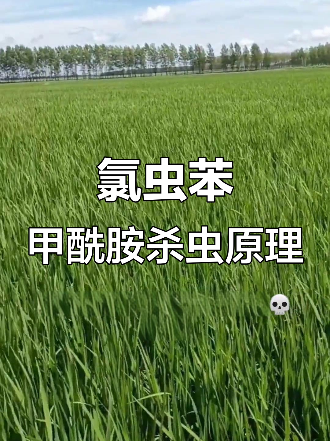 2连板联化科技：目前以CDMO业务模式为客户提供氯虫苯甲酰胺的高级中间体 相关事项对公司整体影响有限