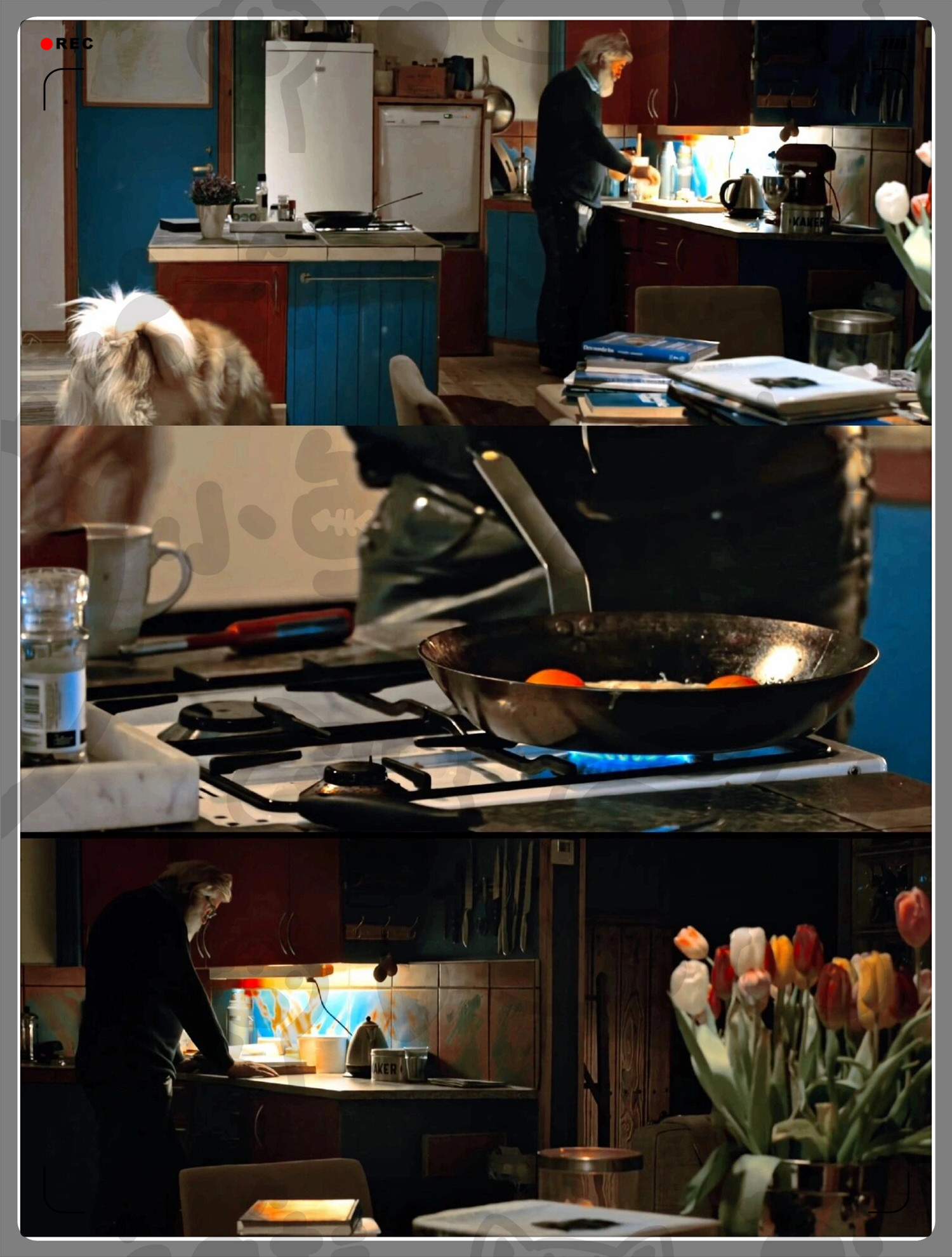 极北大区：“博科圣地”恐怖组织加强对喀麦隆军队的袭击