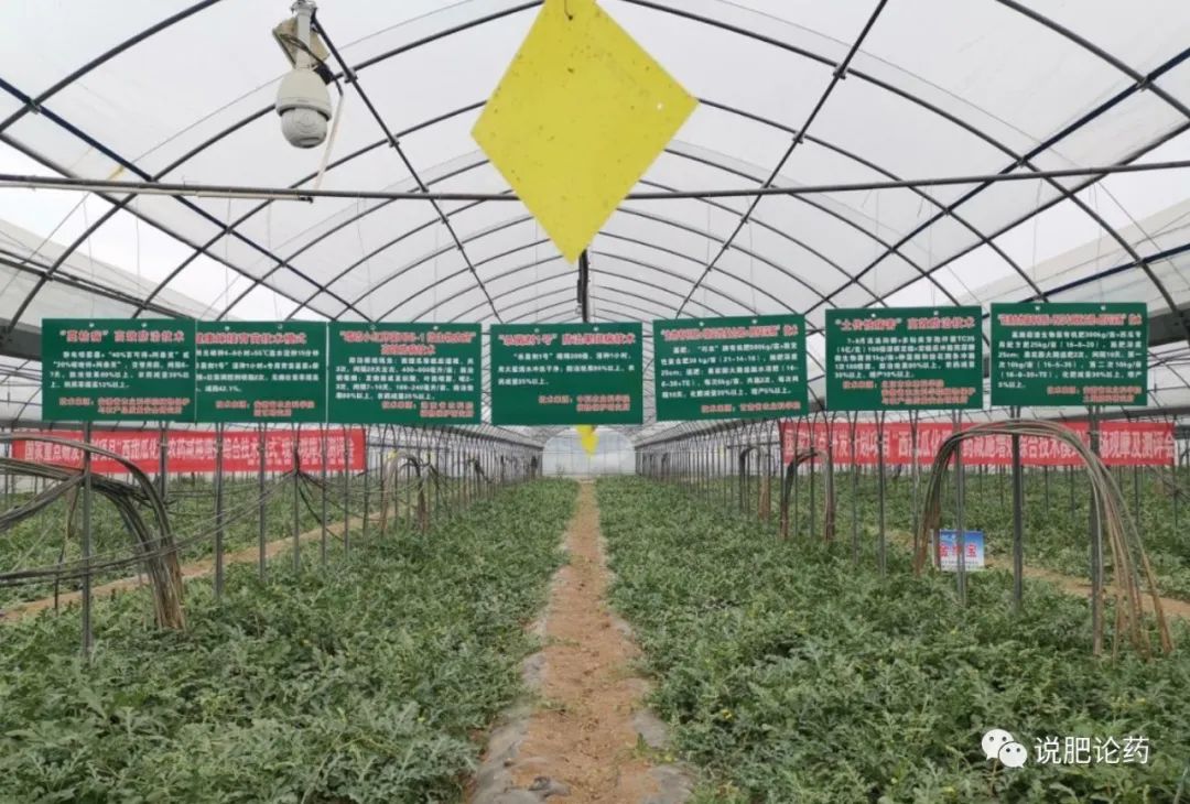 辉隆股份等在安徽成立化肥贸易公司