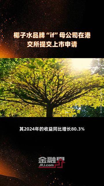 北京奕斯伟计算技术股份有限公司向港交所提交上市申请书