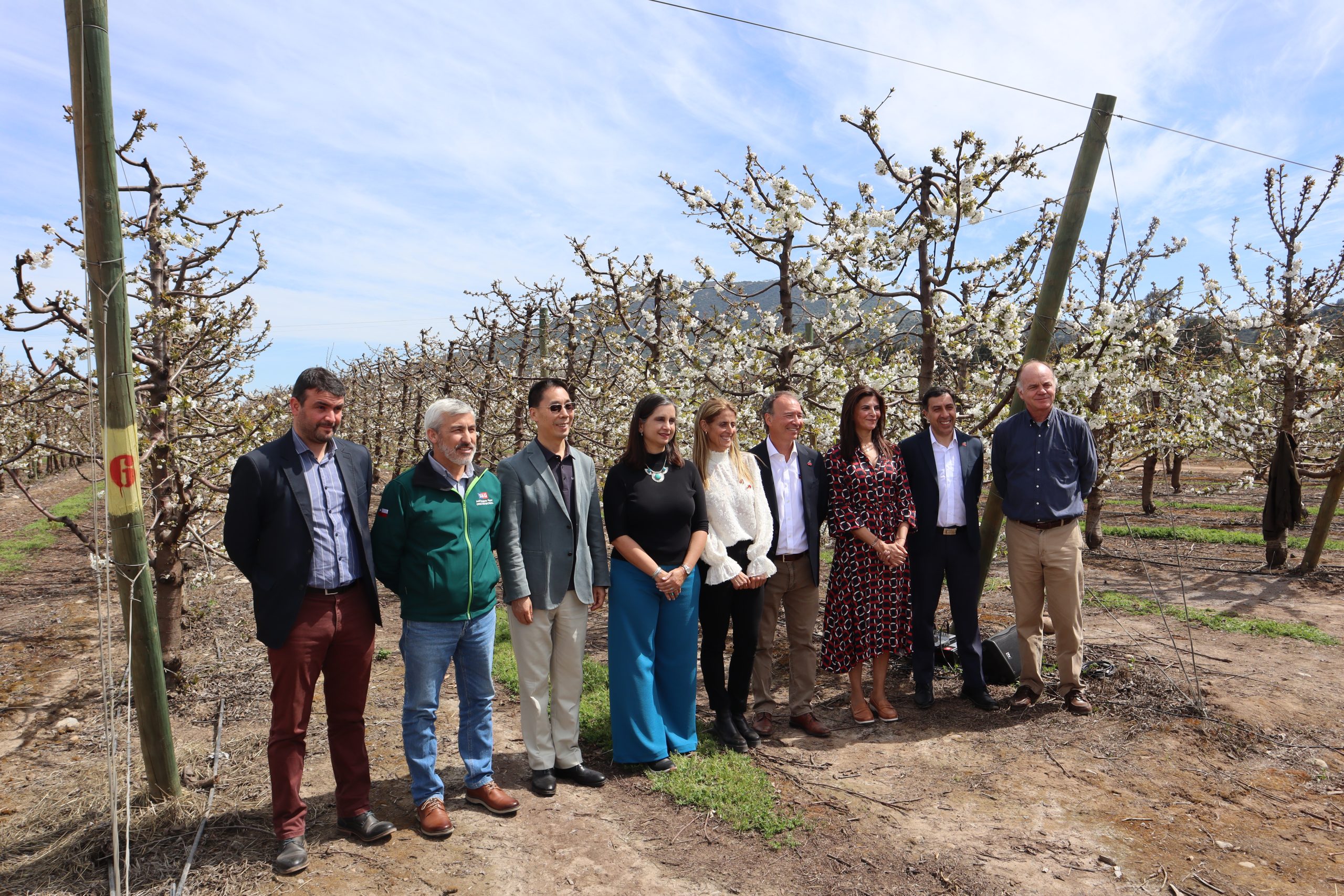 智利一季度经济增长超市场预期