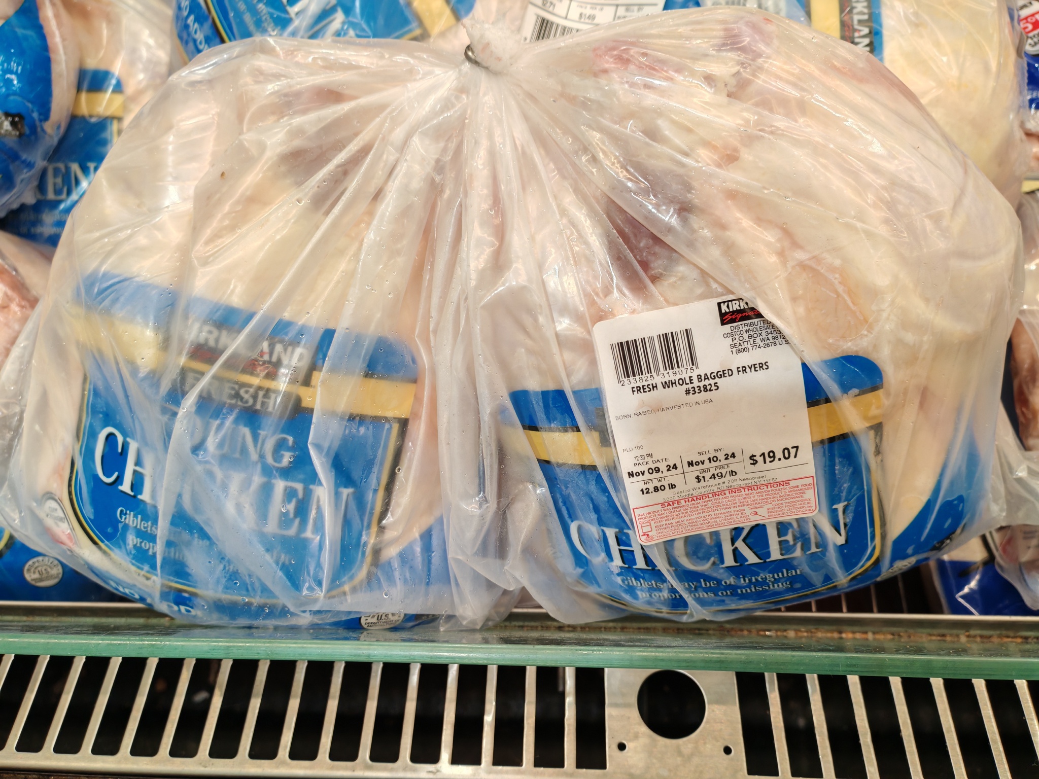 巴西因禽流感疫情暂缓向中国、欧盟等地出口鸡肉