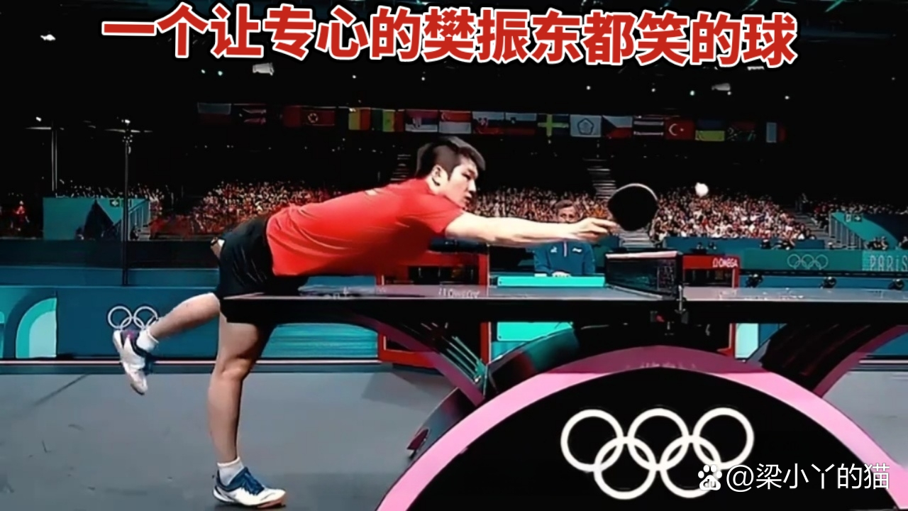 樊振东加盟德甲联赛，与莫雷加德成队友