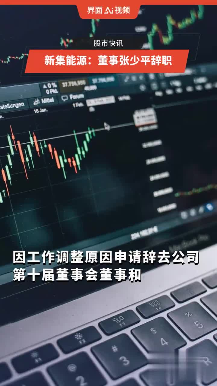 新集能源：董事长王志根离任