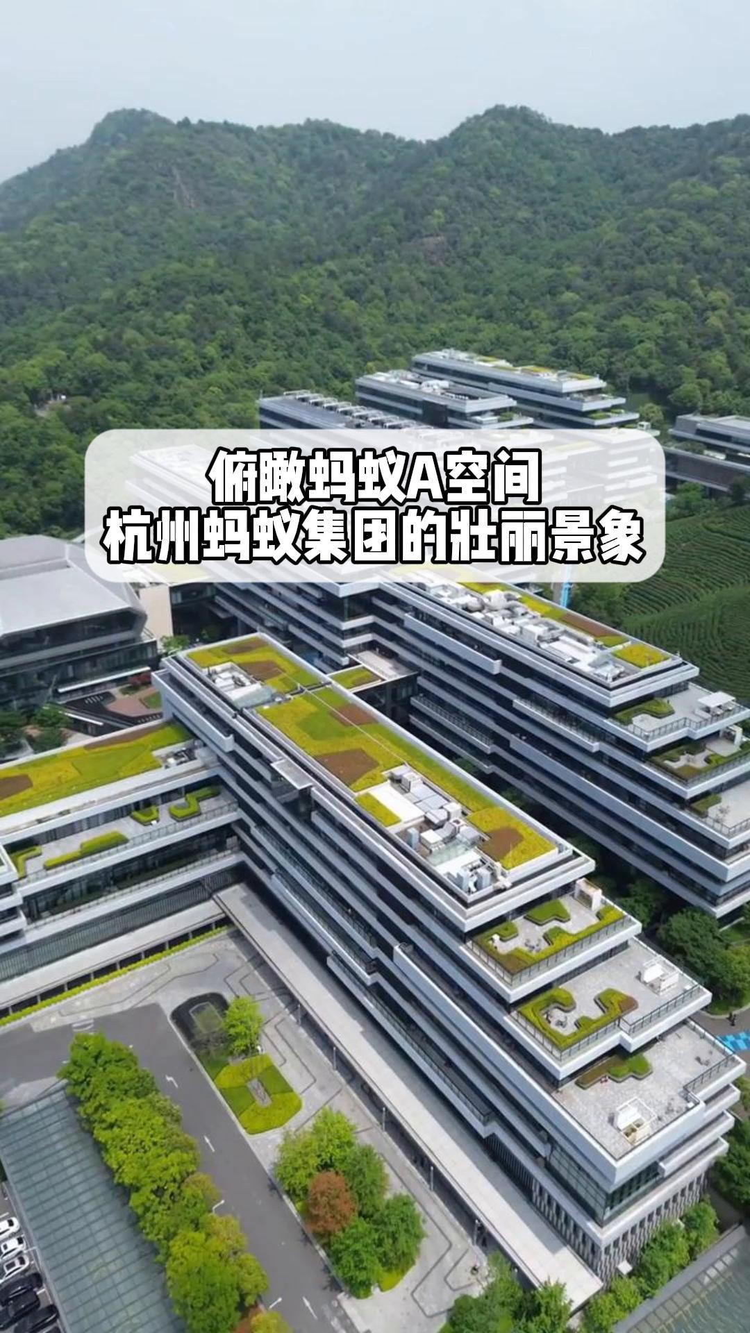 蚂蚁集团在杭州成立信息技术新公司