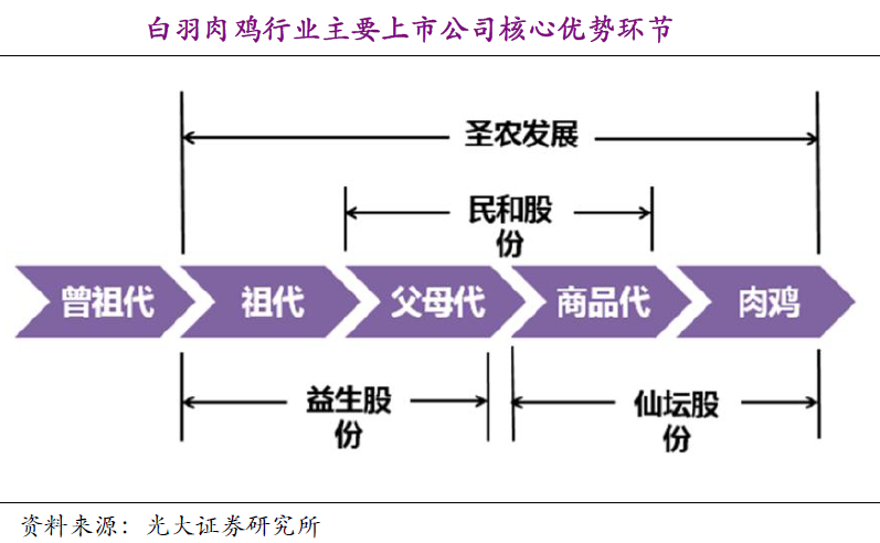 民和股份：5月商品代鸡苗销售收入同比增长0.65%