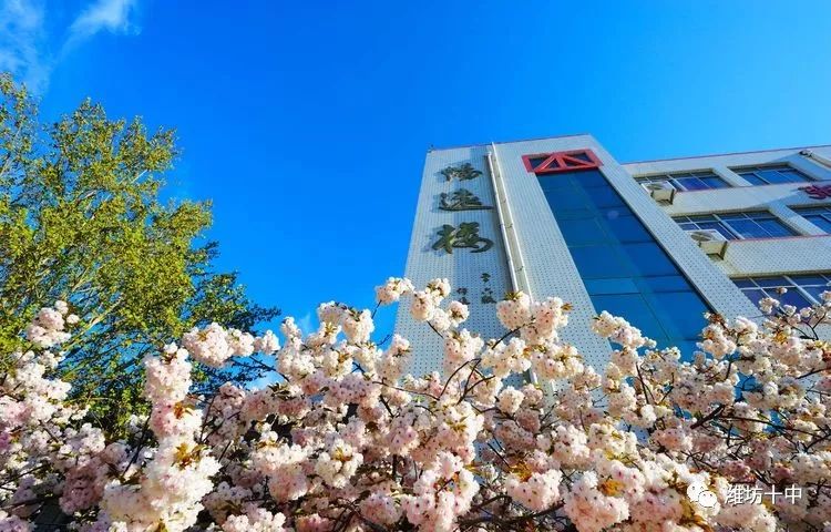 戴綦宏：为“山东省古籍数字资源平台”点赞