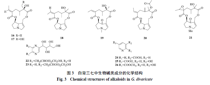 XD寿仙谷获得发明专利授权：“一种灵芝孢子全成分分离及利用的方法及应用”