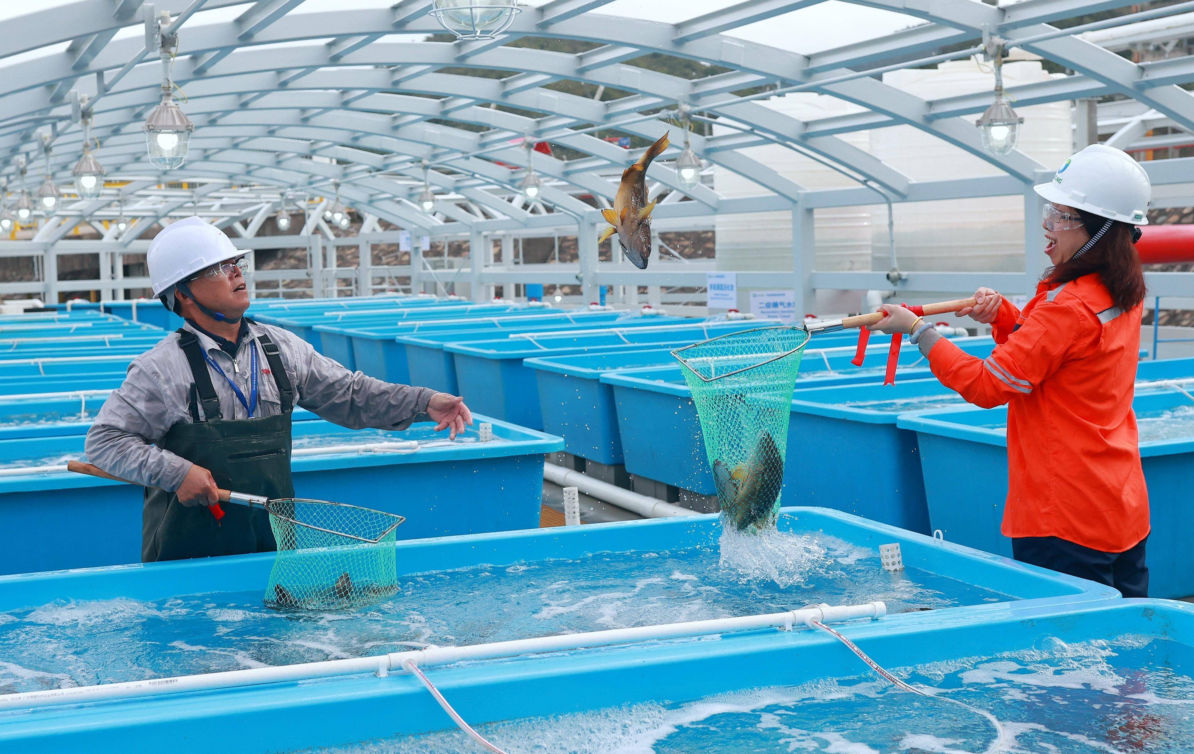 南网能源：拟约5198万元投建分布式光伏电站