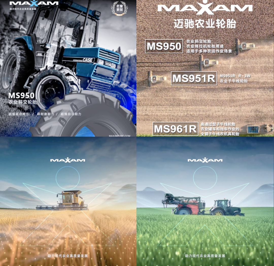 XD赛轮轮披露总额6000万元（美元）的对外担保，被担保方为赛轮集团（香港）有限公司