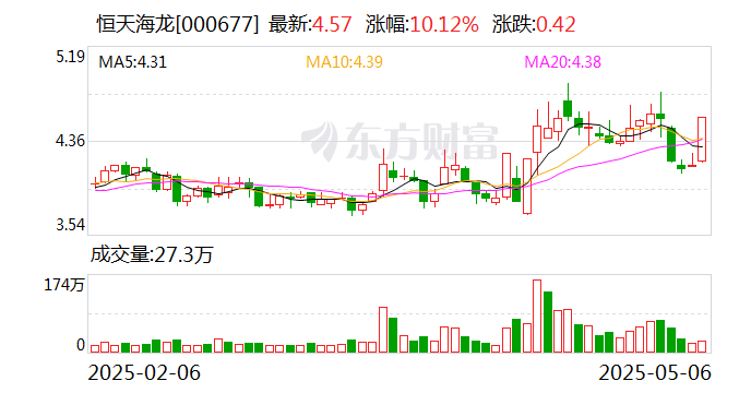 恒天海龙披露总额3亿元的对外担保，被担保方为北京多弗海龙能源科技有限公司
