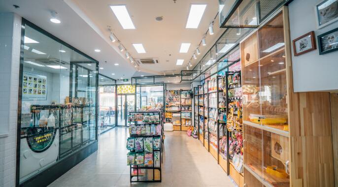 宠物经济概念上涨1.60%，6股主力资金净流入超5000万元