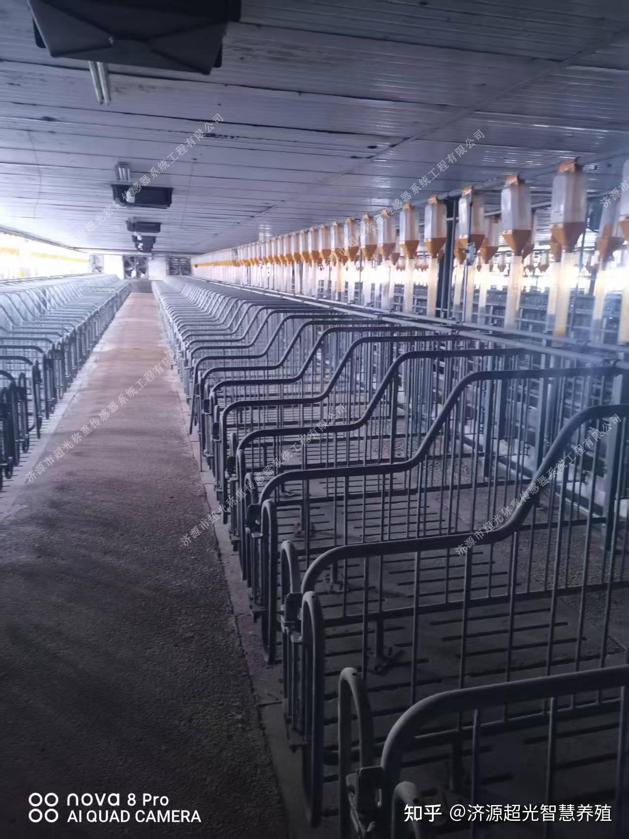 下游市场低迷重创“饲料”主业，新业务难挑大梁，粤海饲料近十年首现亏损