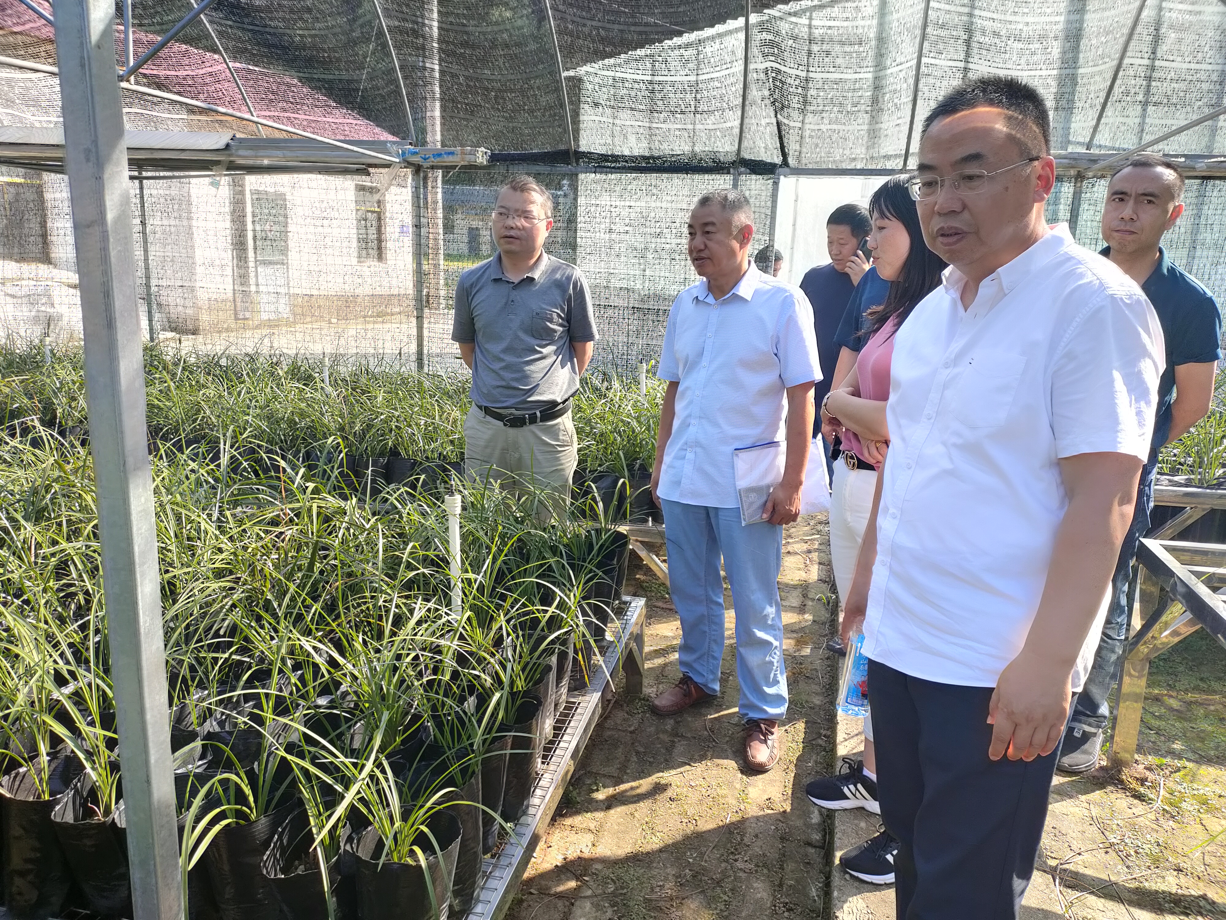 湖北省农业农村厅原副厅长、一级巡视员张桂华被开除党籍