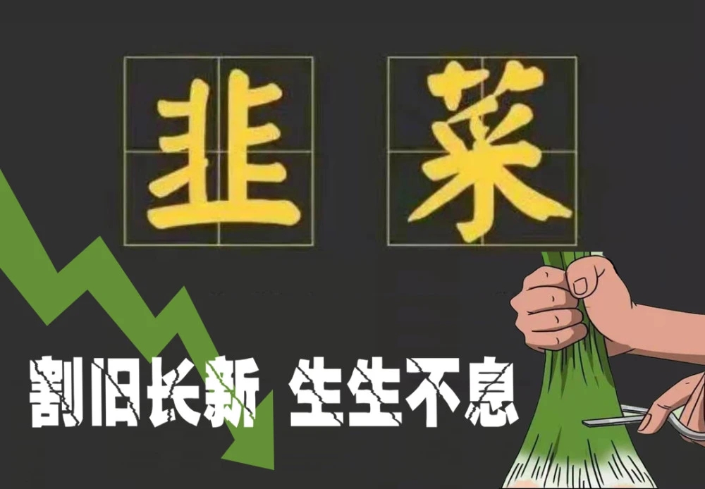 封单一度超100万手，300016涨停！创新药重磅利好，概念龙头最高涨4.26倍，这些绩优股砸出“黄金坑”