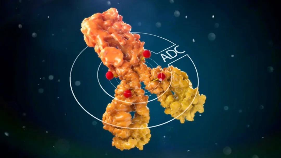 先声再明与NextCure就ADC新药SIM0505达成战略合作