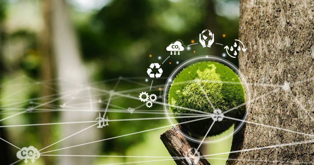 中非绿色合作播种非洲“绿色长城”的未来――访毛里塔尼亚环境部长拉格达夫