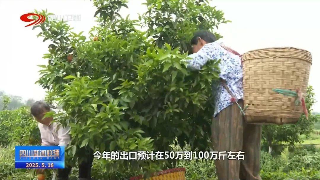 阿曼商业银行信贷增长7.9%