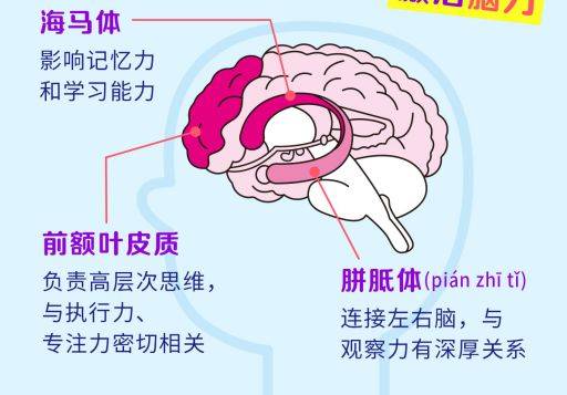 “腾讯脑力锻炼”认知功能训练软件获批医疗器械注册证