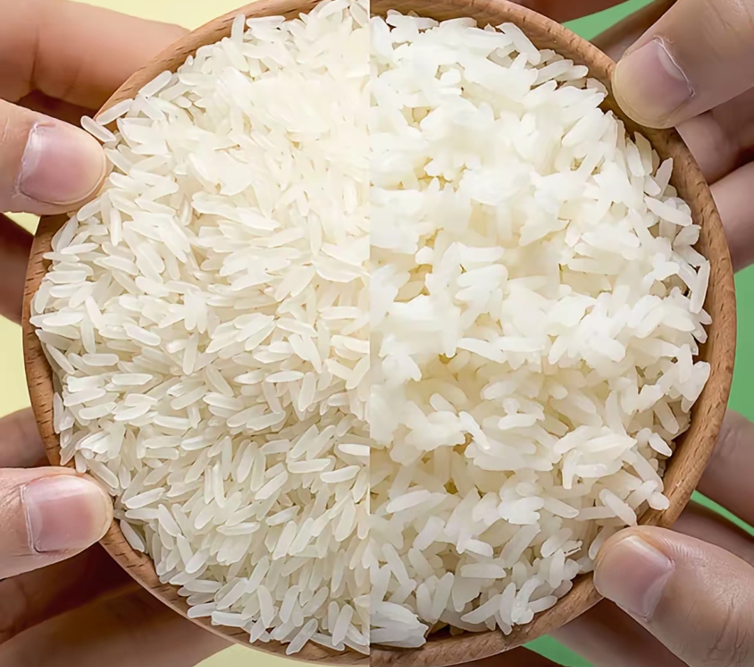 今年前5个月，越南大米平均出口价格下降近19%