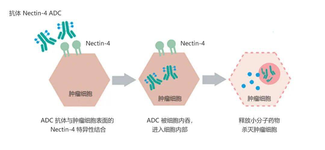 海思科：创新药HSK47388片新适应症临床试验申请获得受理