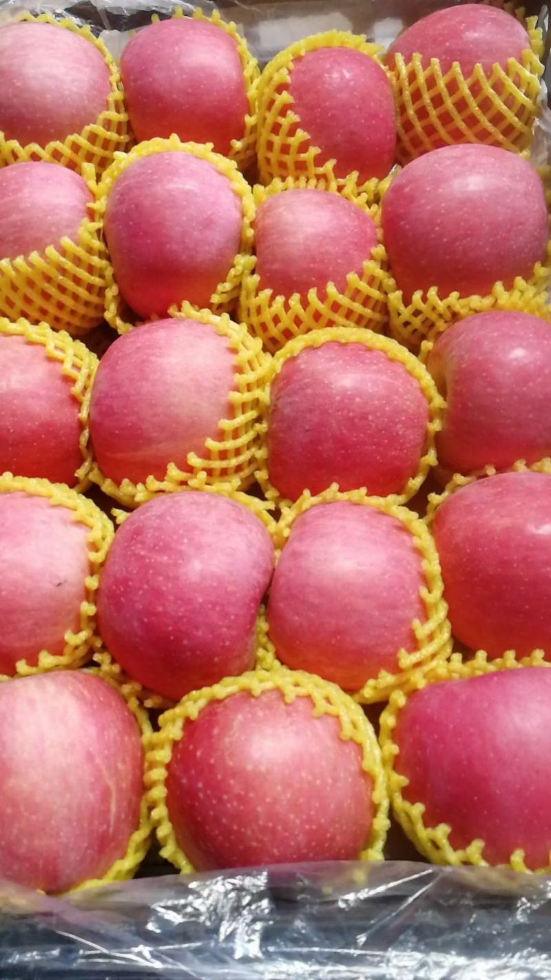 库迪咖啡北方水果基地在山西临猗奠基动工