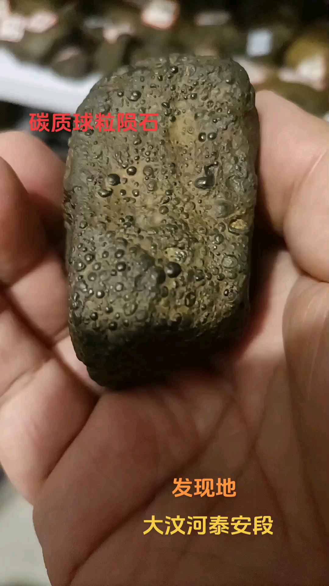 研究揭示福后星族或是高铁球粒陨石“太空母体”