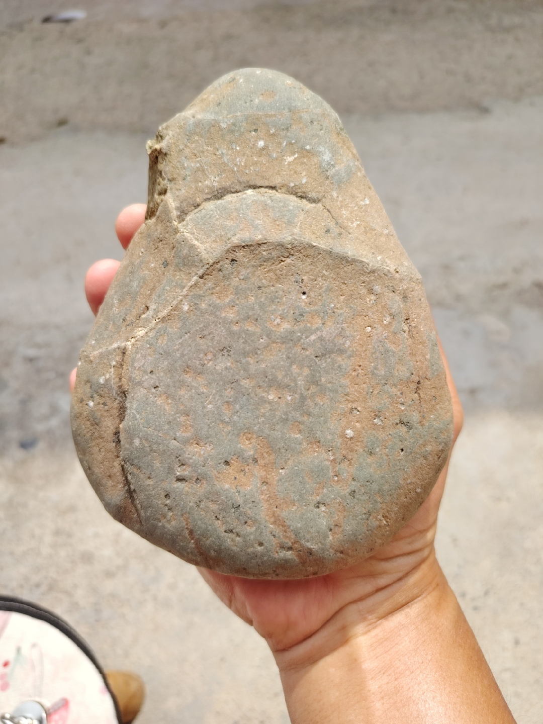 研究揭示福后星族或是高铁球粒陨石“太空母体”