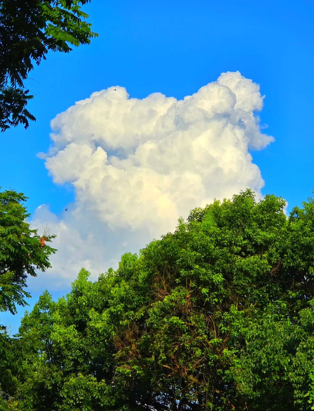 没来过川西，别说你玩懂了自驾游！这些网红打卡地，才是“进藏路”上的高光时刻