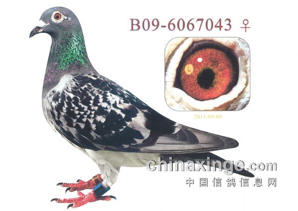 雪迪龙7月4日龙虎榜数据