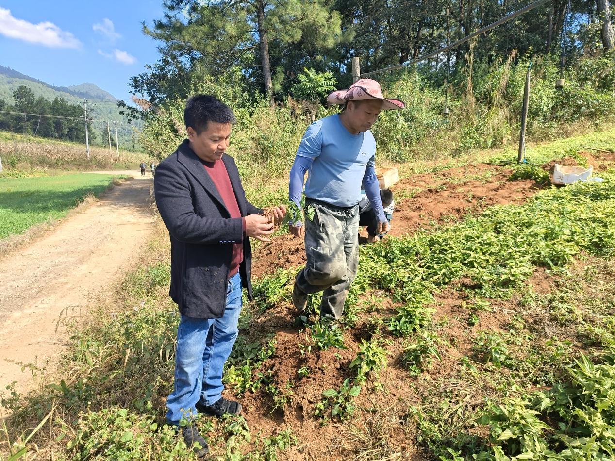 “村改支”之后 须防范过度竞争