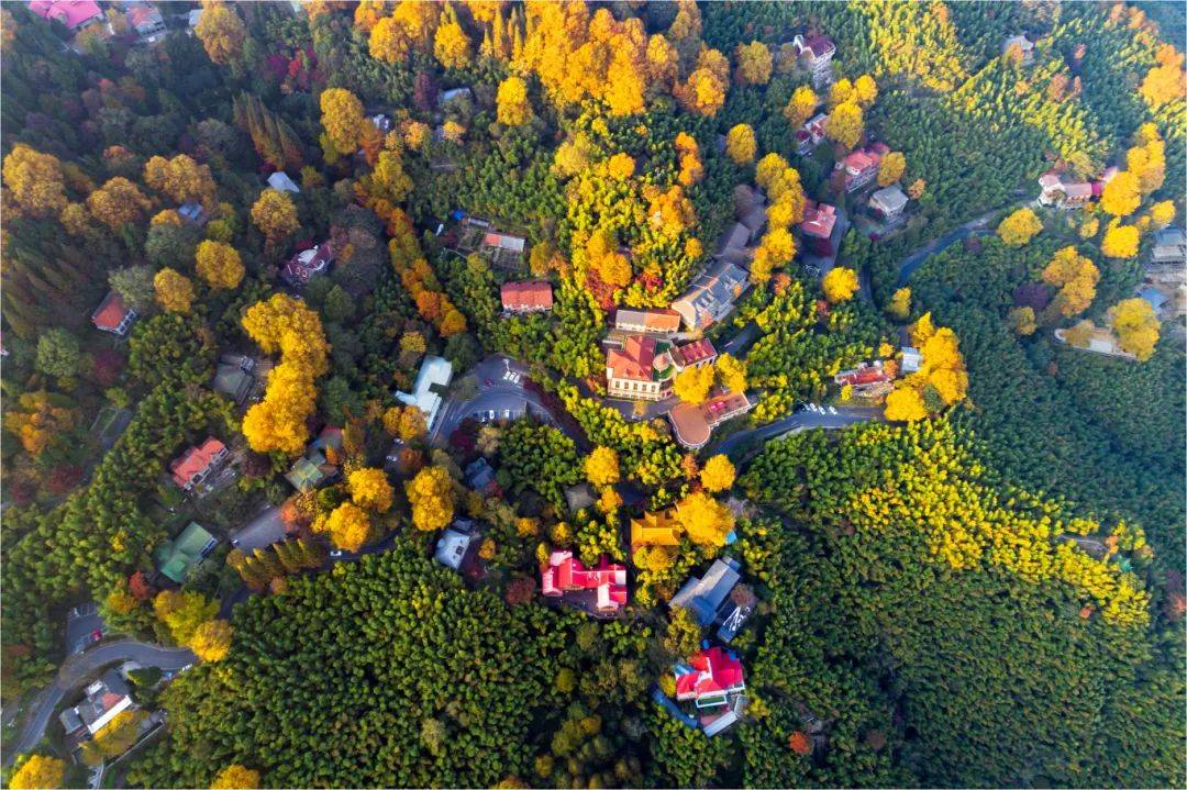 广宇集团：通过银发康养与地产双核驱动实现可持续发展