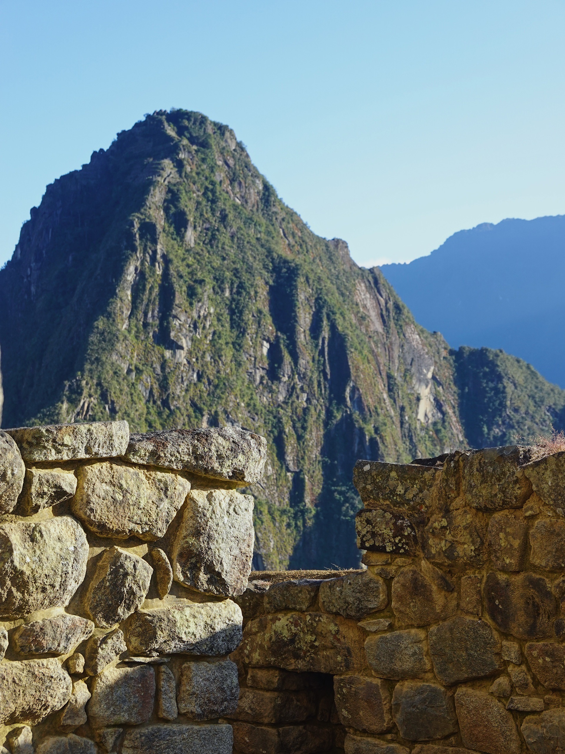 意大利资助约旦污水处理项目