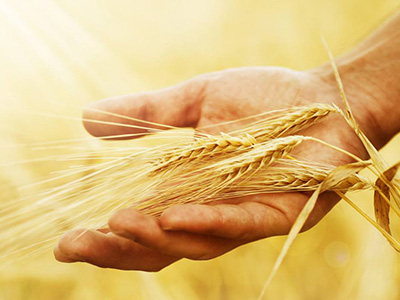 7月21日证券之星早间消息汇总：1.2万亿世界级水电工程开工