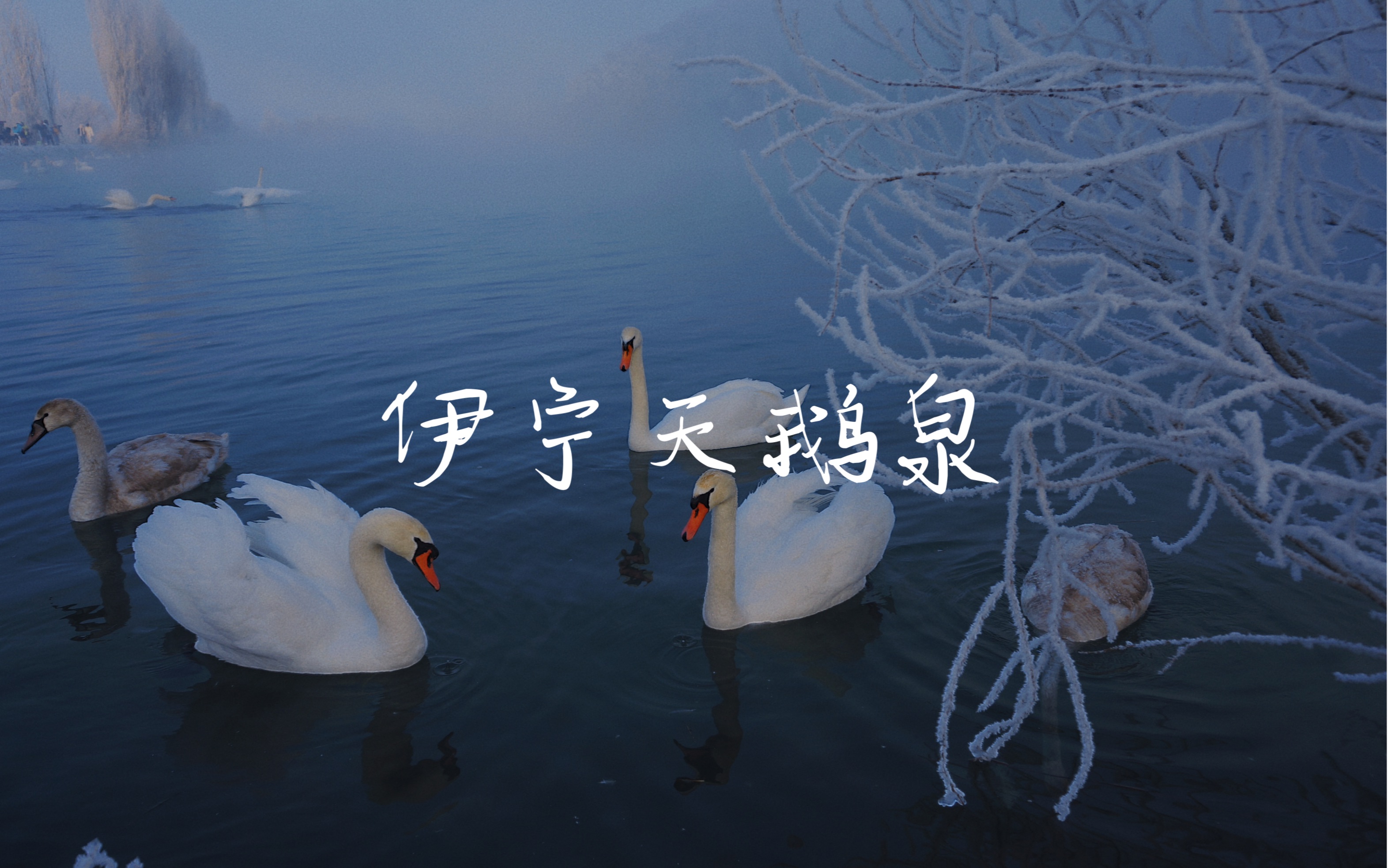 天鹅股份披露总额2000万元的对外担保，被担保方为新疆天鹅现代农业机械装备有限公司