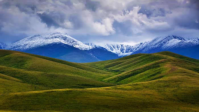 天鹅股份披露总额2000万元的对外担保，被担保方为新疆天鹅现代农业机械装备有限公司