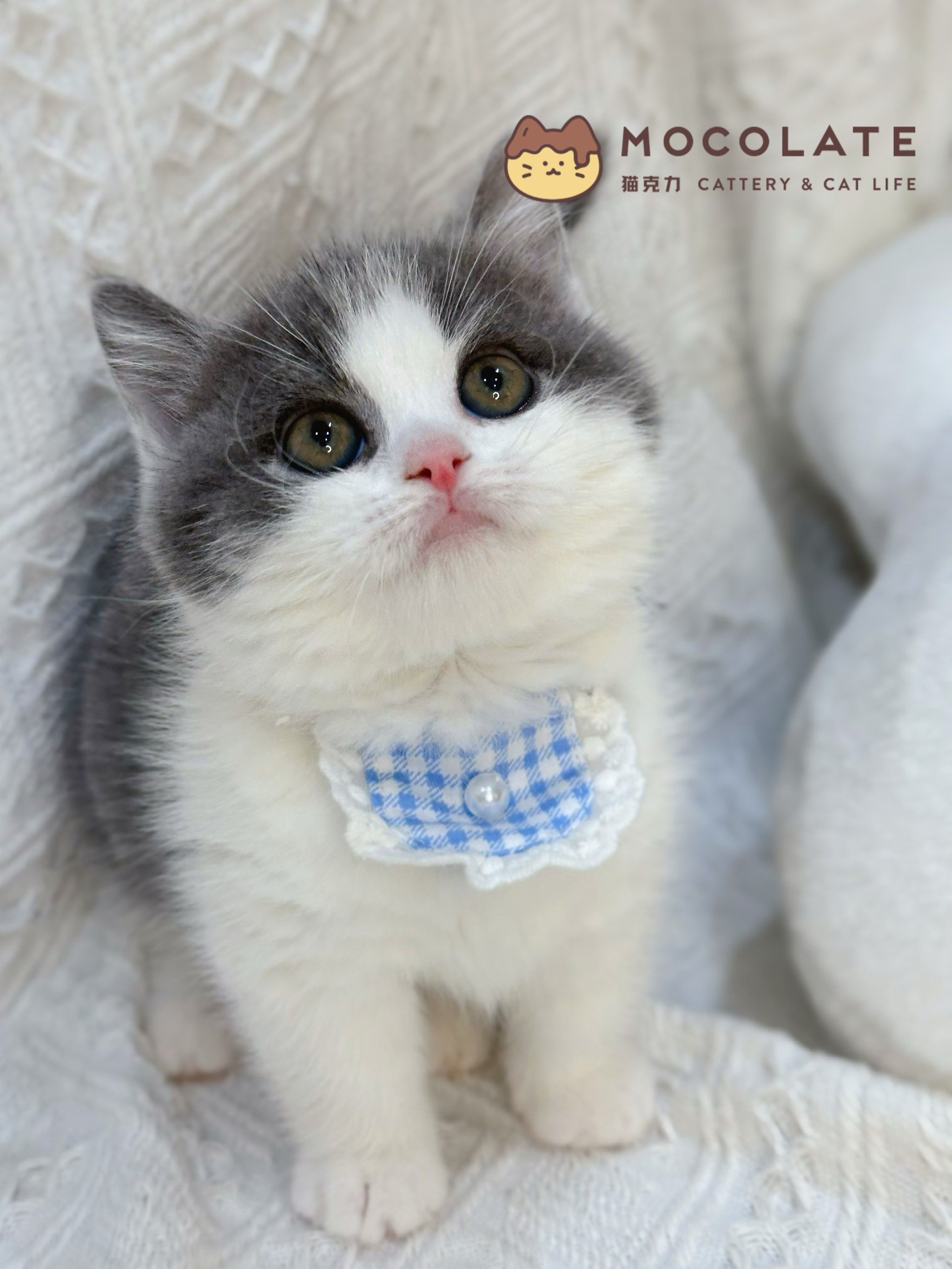 基康技术7月21日龙虎榜数据