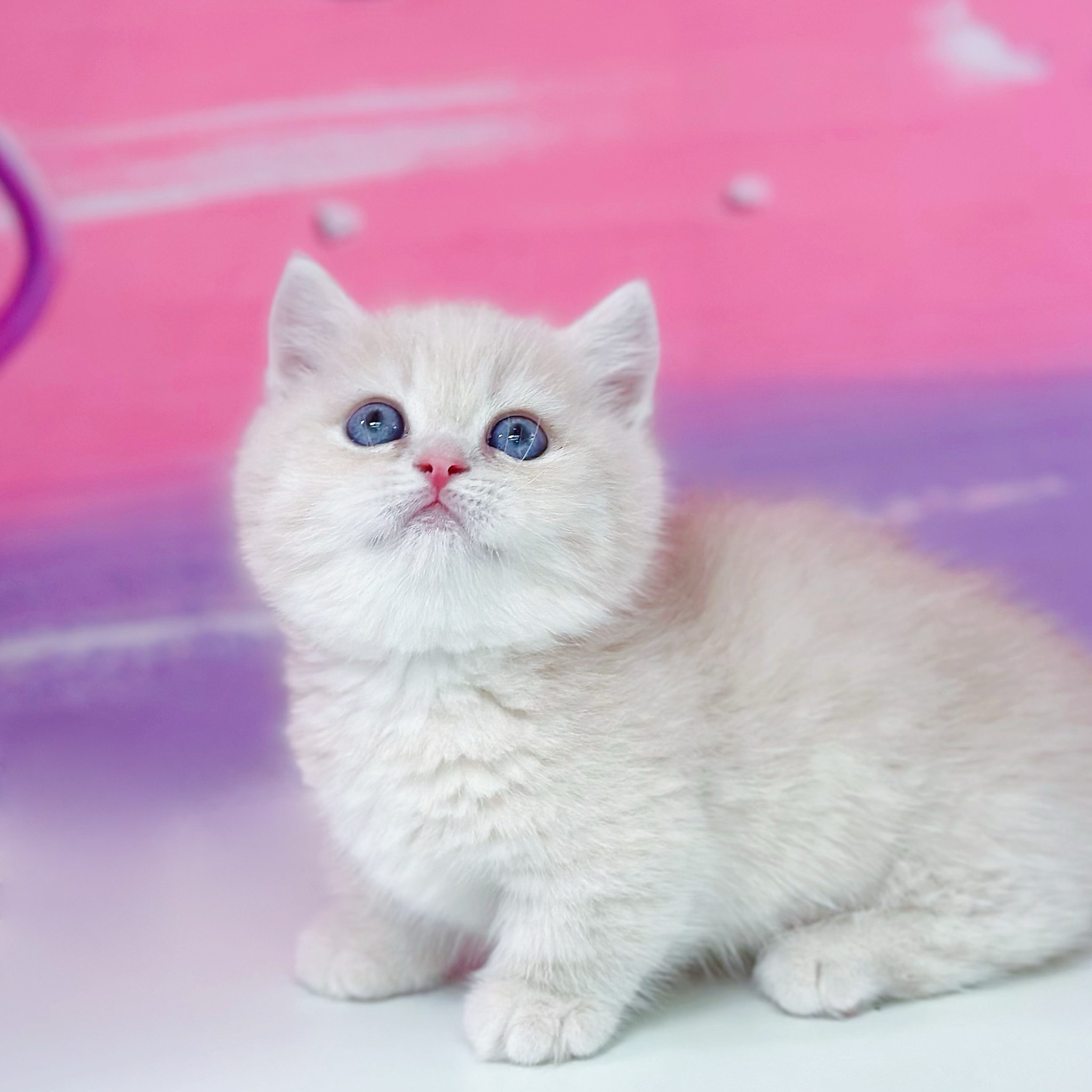 基康技术7月21日龙虎榜数据