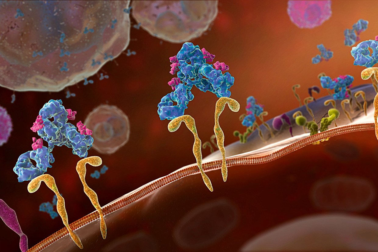 迪瑞医疗：预计2025年上半年净利润亏损2200万元~3300万元