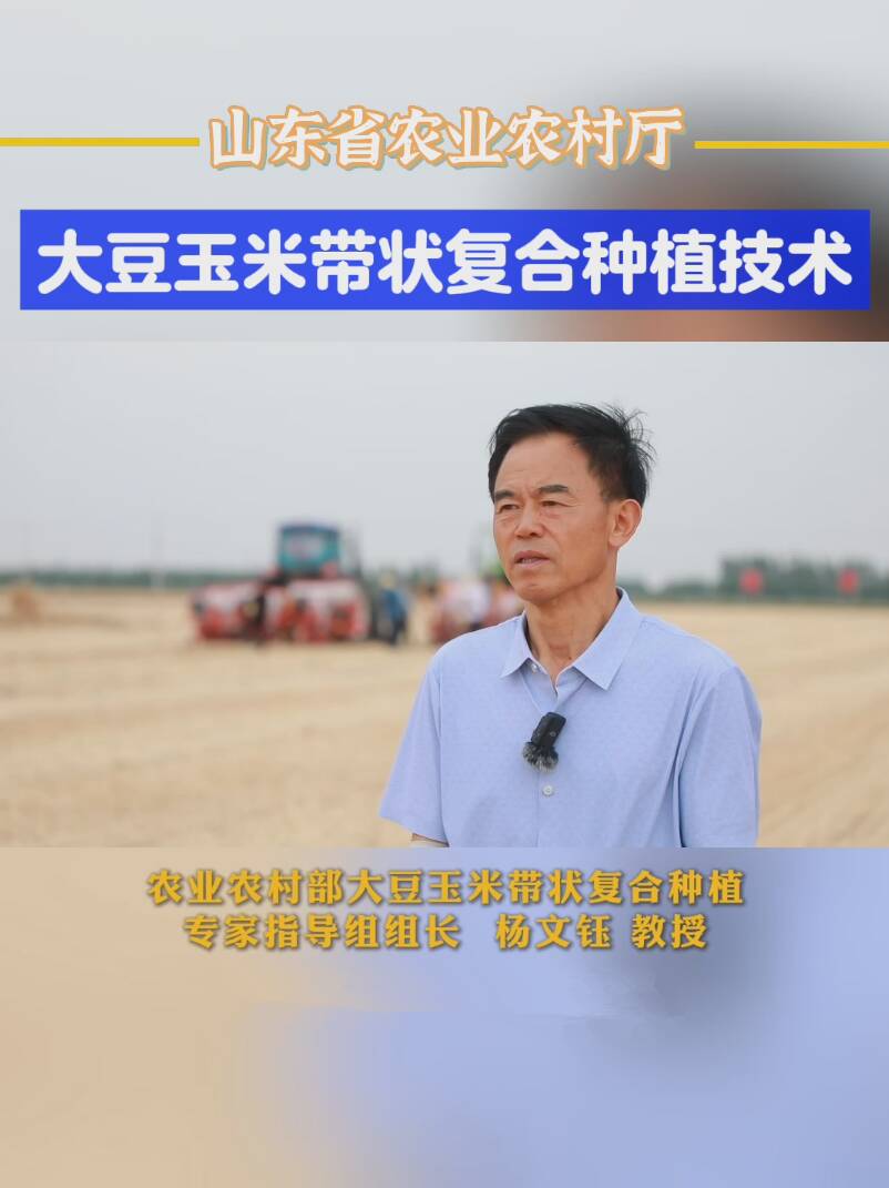 农业农村部部署大豆玉米带状复合种植工作