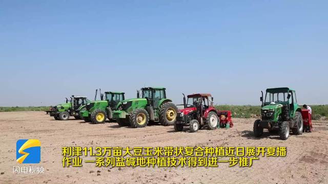 农业农村部部署大豆玉米带状复合种植工作