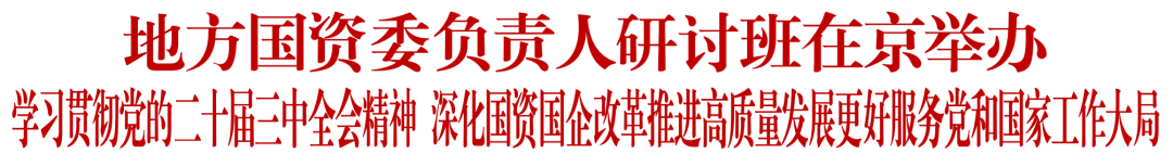 国务院国资委：因地制宜大力发展新质生产力 更好发挥国有经济战略支撑作用