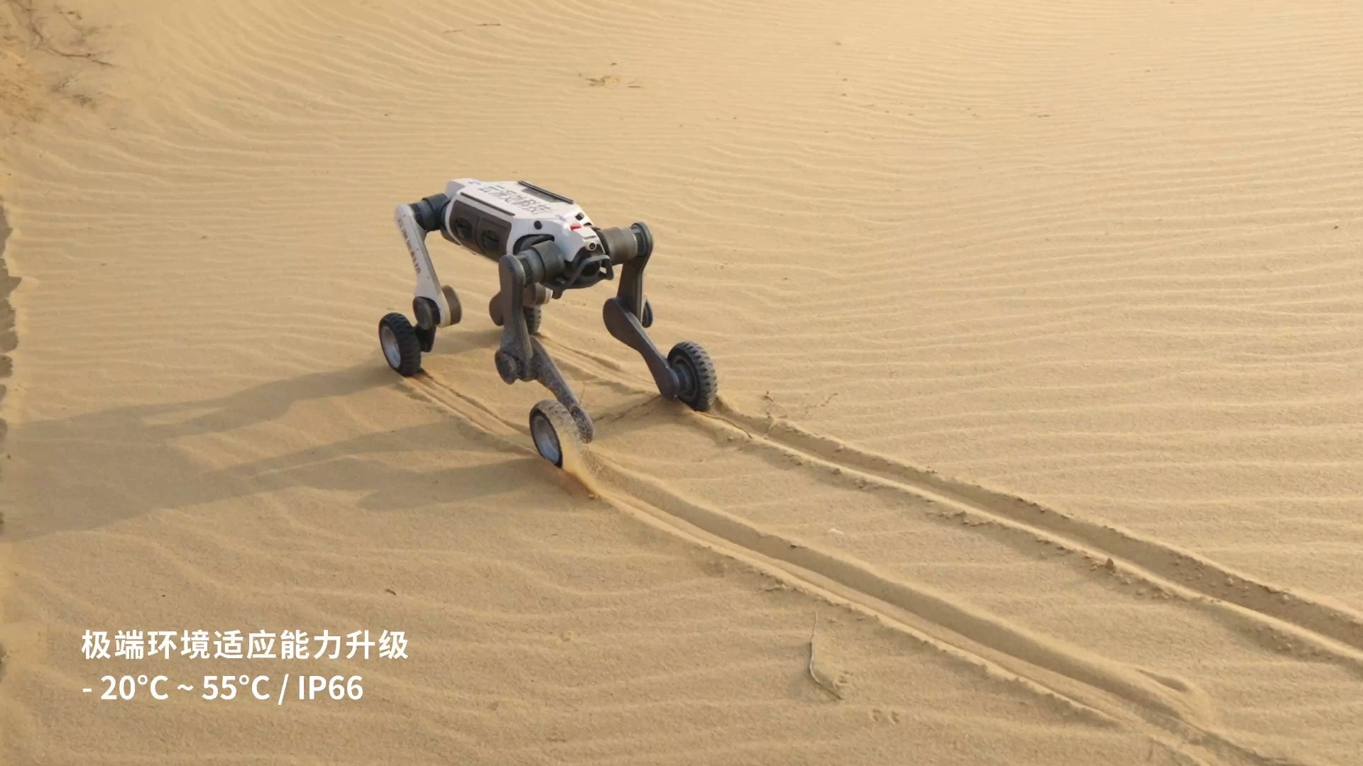 云深处科技亮相WAIC 2025 展示具身智能机器人关键技术与实战应用