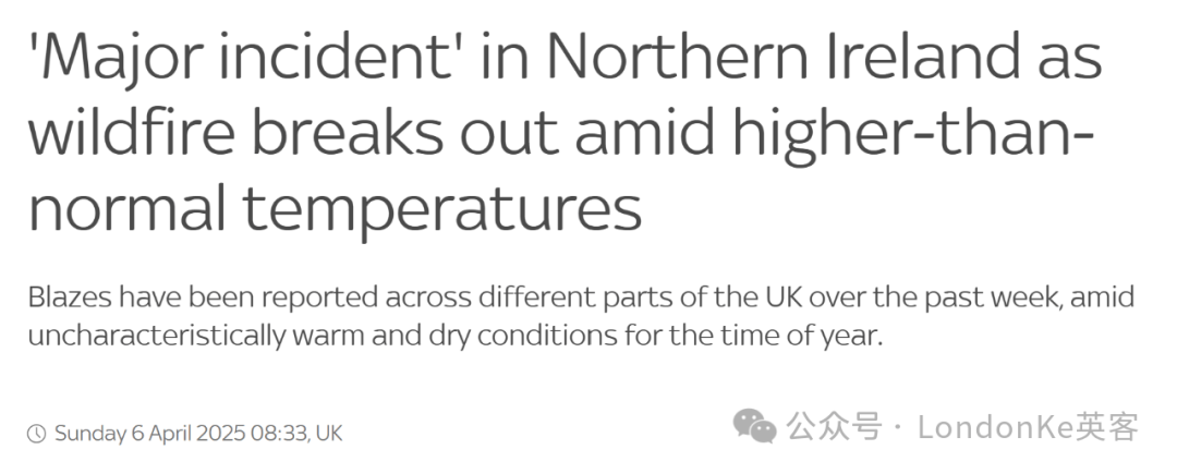 爱尔兰政府敦促欧盟不要升级与美国的关税争端