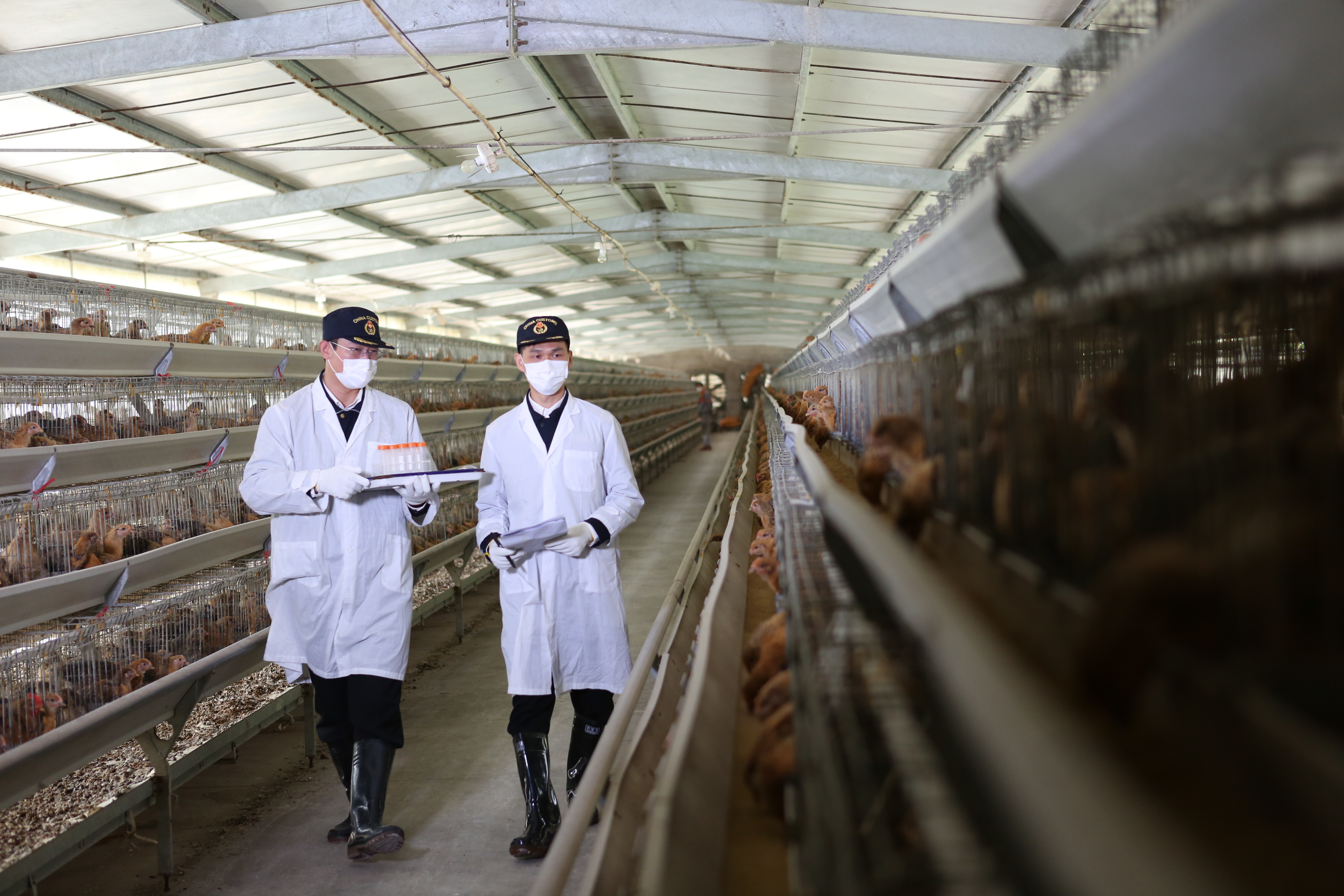 温氏股份在广东成立电商公司，含供港澳活畜禽经营业务