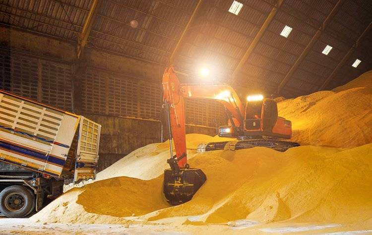 2024/25年度巴西粮食产量预计创纪录